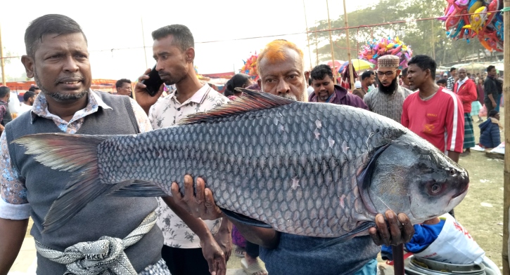 পৌষ সংক্রান্তিতে মাছের মেলা, এক কাতলের দাম দেড় লাখ!   